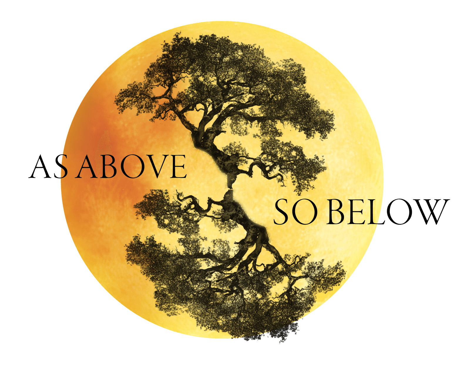 As Above, So Below